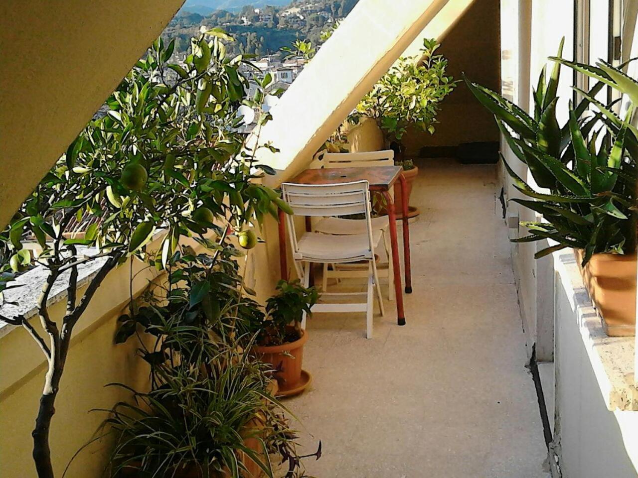 A Casa Di Lola Bed & Breakfast Ascoli Piceno Eksteriør bilde