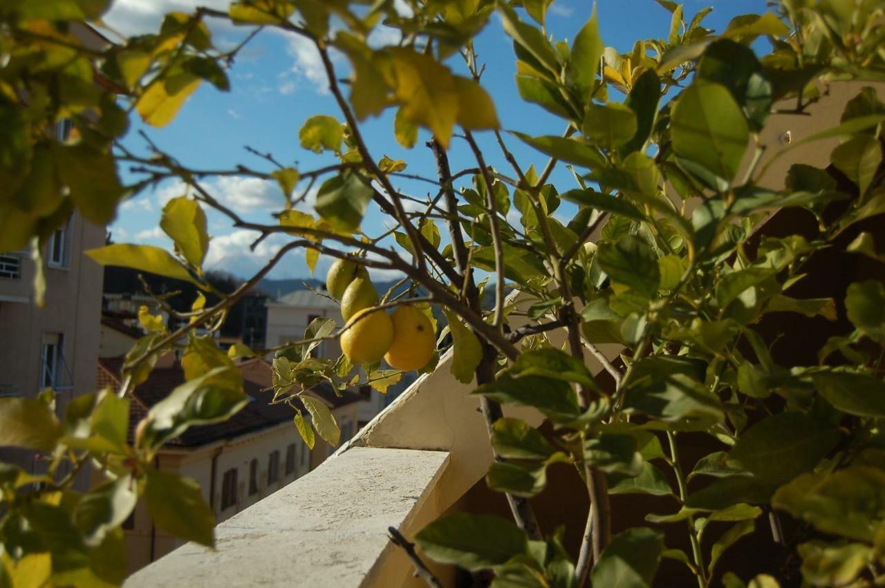 A Casa Di Lola Bed & Breakfast Ascoli Piceno Eksteriør bilde