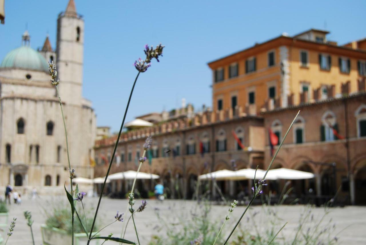 A Casa Di Lola Bed & Breakfast Ascoli Piceno Eksteriør bilde