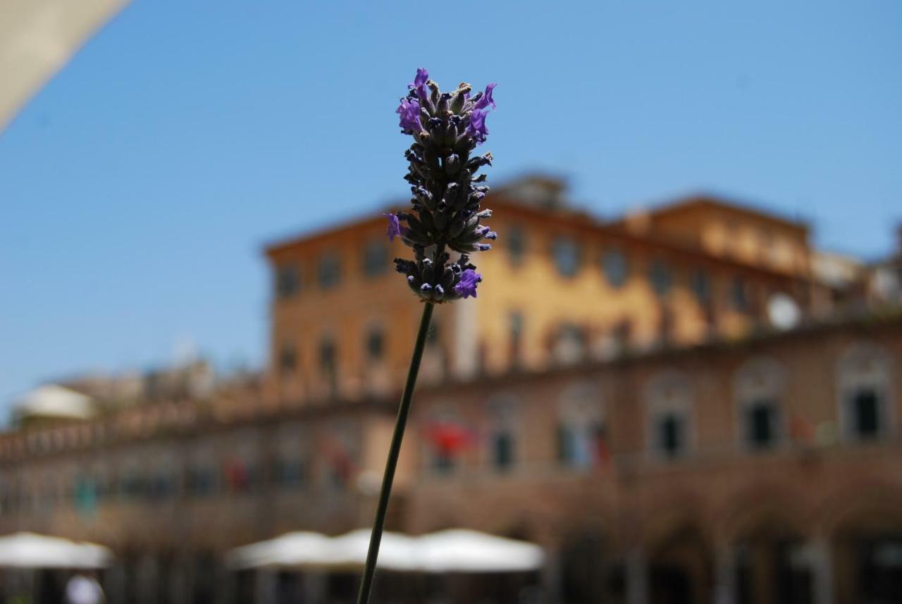 A Casa Di Lola Bed & Breakfast Ascoli Piceno Eksteriør bilde
