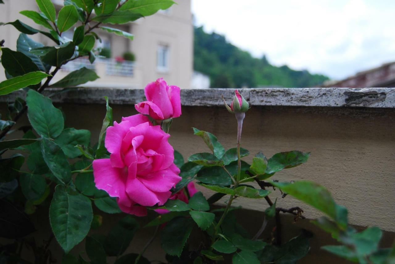 A Casa Di Lola Bed & Breakfast Ascoli Piceno Eksteriør bilde